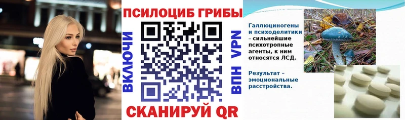 Псилоцибиновые грибы Cubensis  где купить наркотик  ОМГ ОМГ ссылка  нарко площадка наркотические препараты  Светлый 